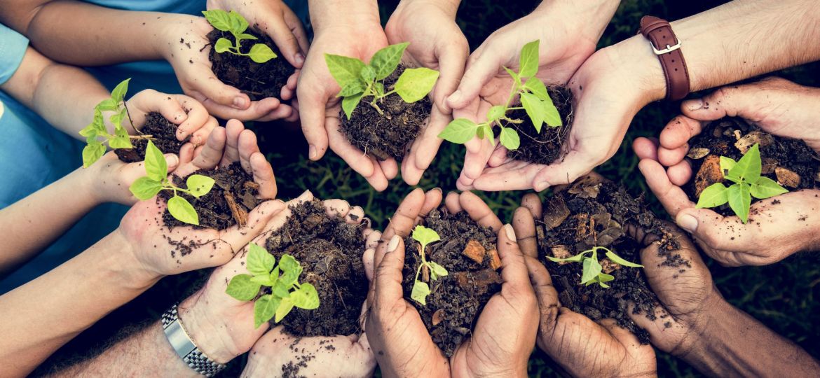 People,Hands,Cupping,Plant,Nurture,Environmental