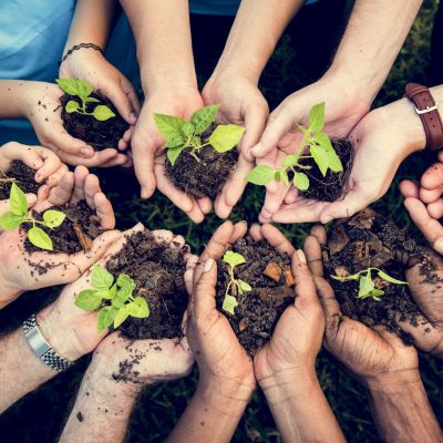 People,Hands,Cupping,Plant,Nurture,Environmental